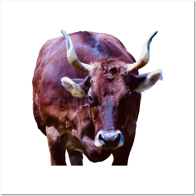 Most beautiful cow in Switzerland / Swiss Artwork Photography Wall Art by RaphaelWolf